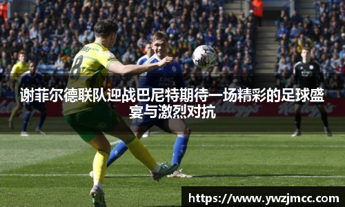 谢菲尔德联队迎战巴尼特期待一场精彩的足球盛宴与激烈对抗